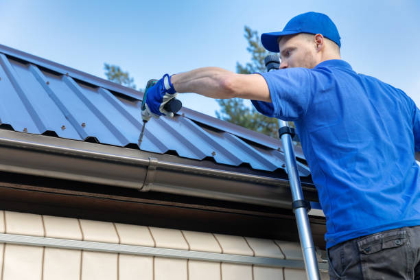 Best Roof Leak Repair  in Le Sueur, MN