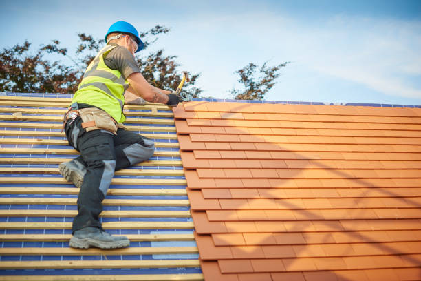 Best Emergency Roof Repair Services  in Le Sueur, MN